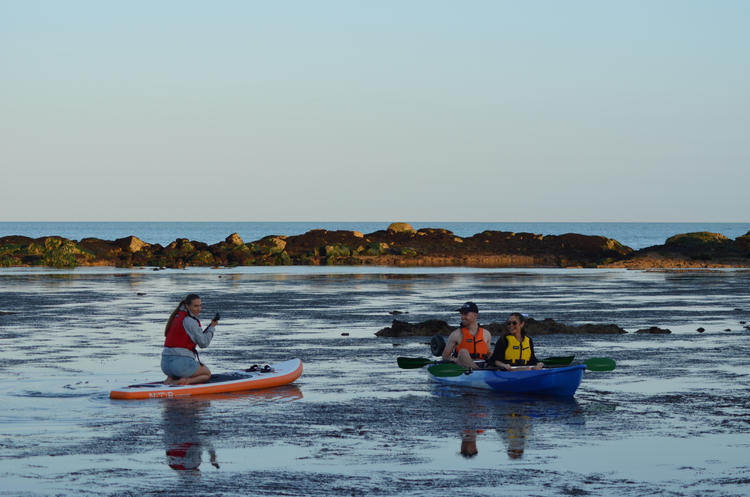 Shop Kayaks & Paddleboards                        – Free UK Delivery